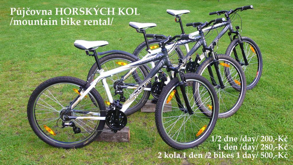 Penzion Fousek Zvíkovské Podhradí Bagian luar foto